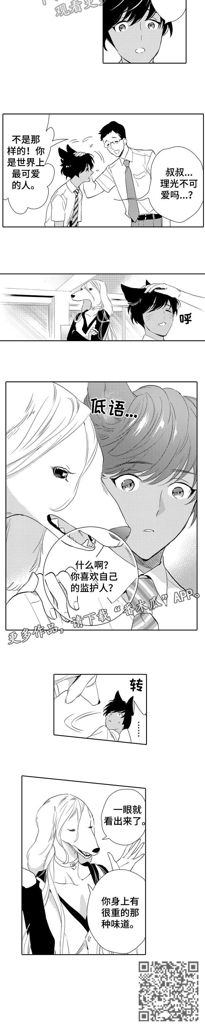 第13章：看穿
