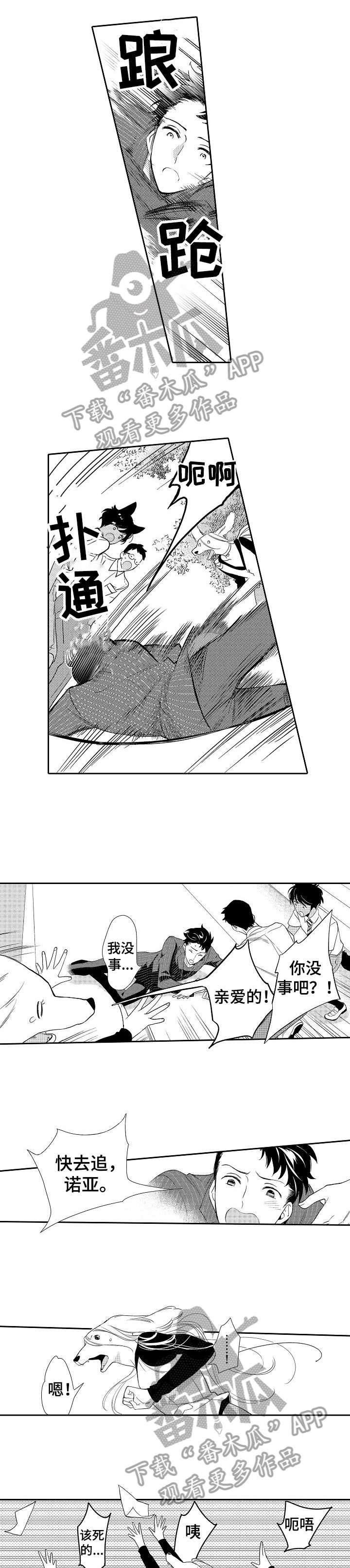 第15章：追