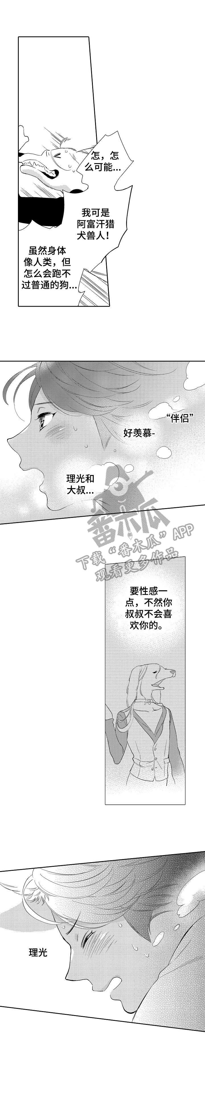 第15章：追