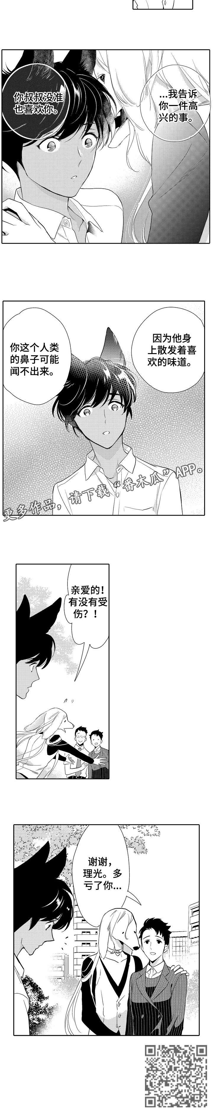 第15章：追