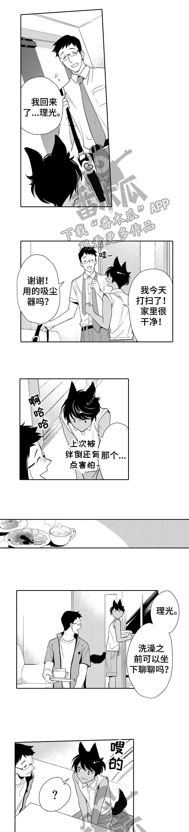 第17章：不需要