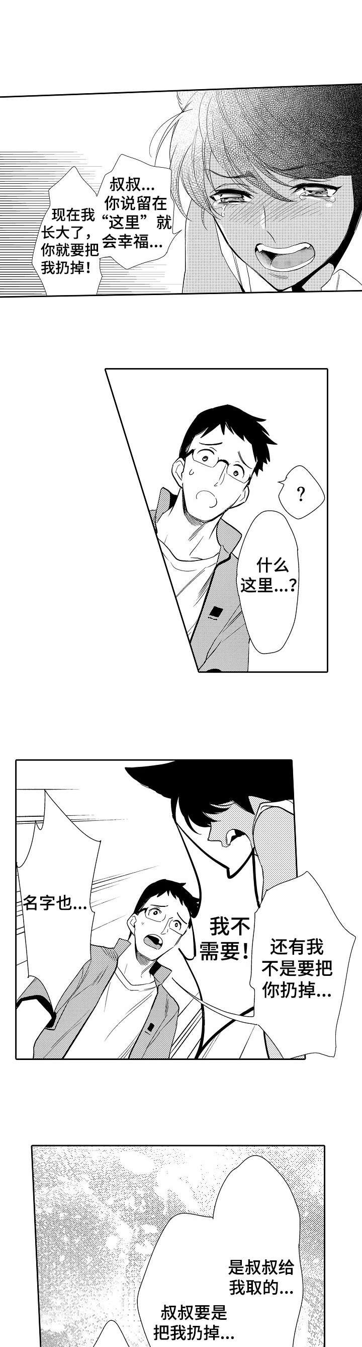 第17章：不需要