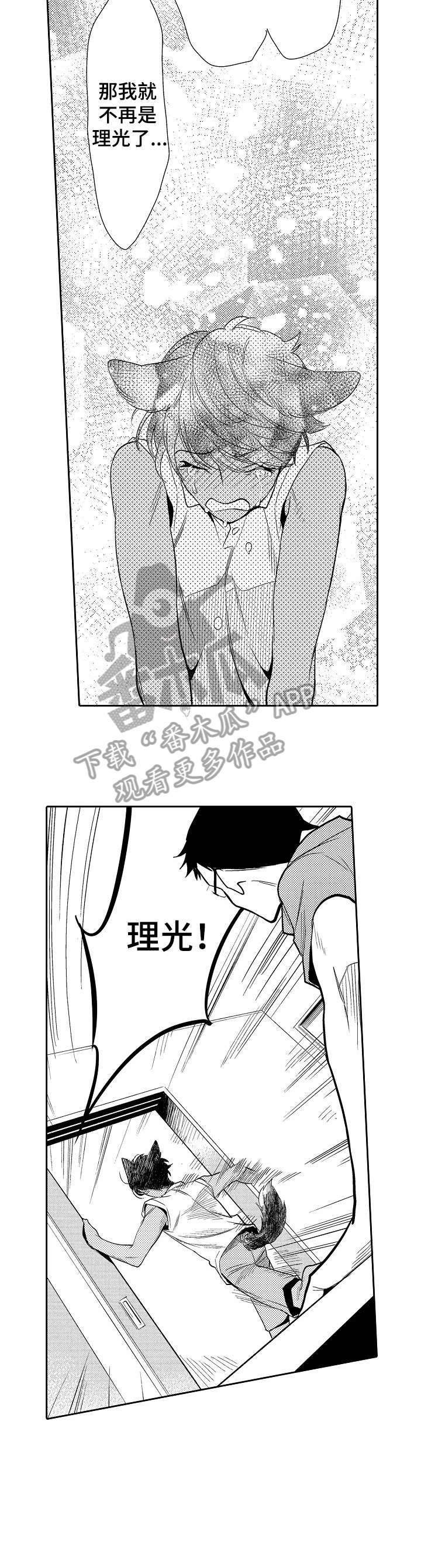 第17章：不需要