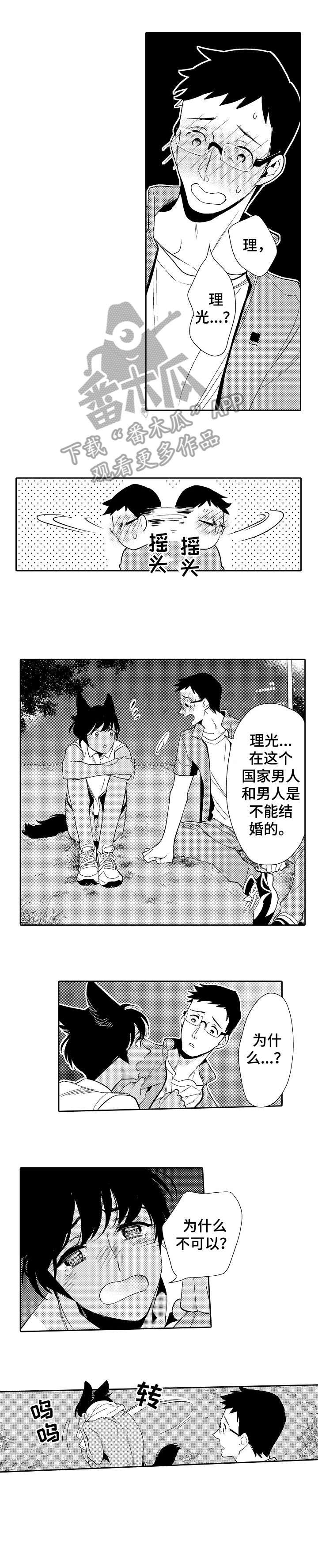 第18章：冲突