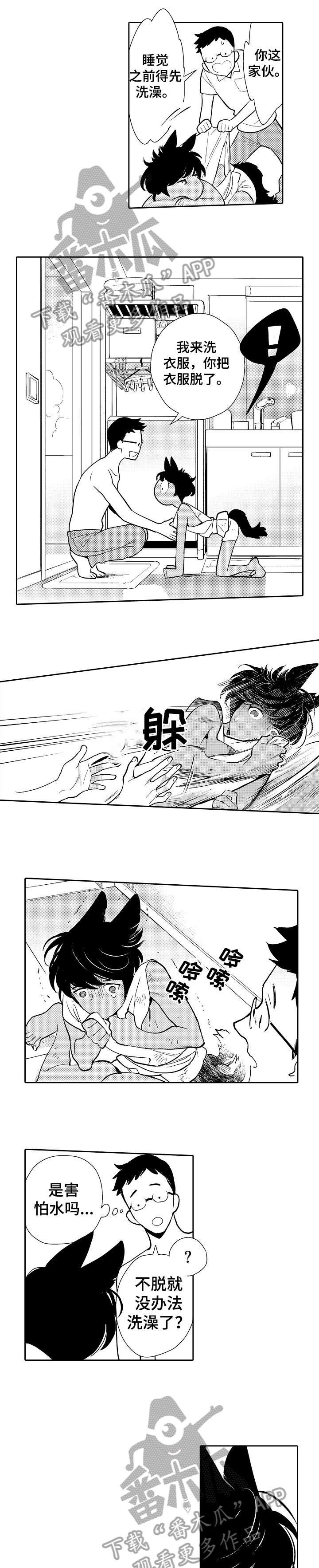 第2章：伤痕
