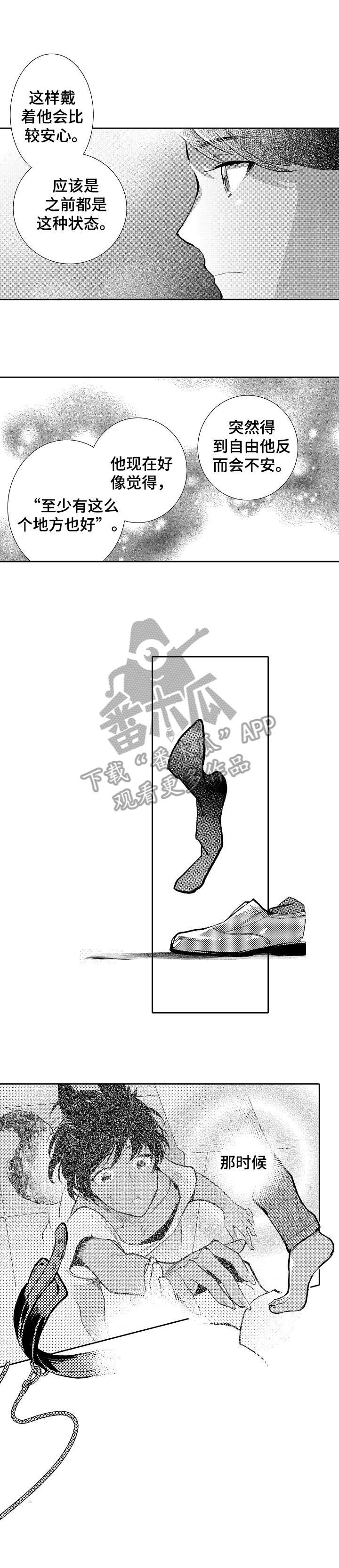 第21章：强大