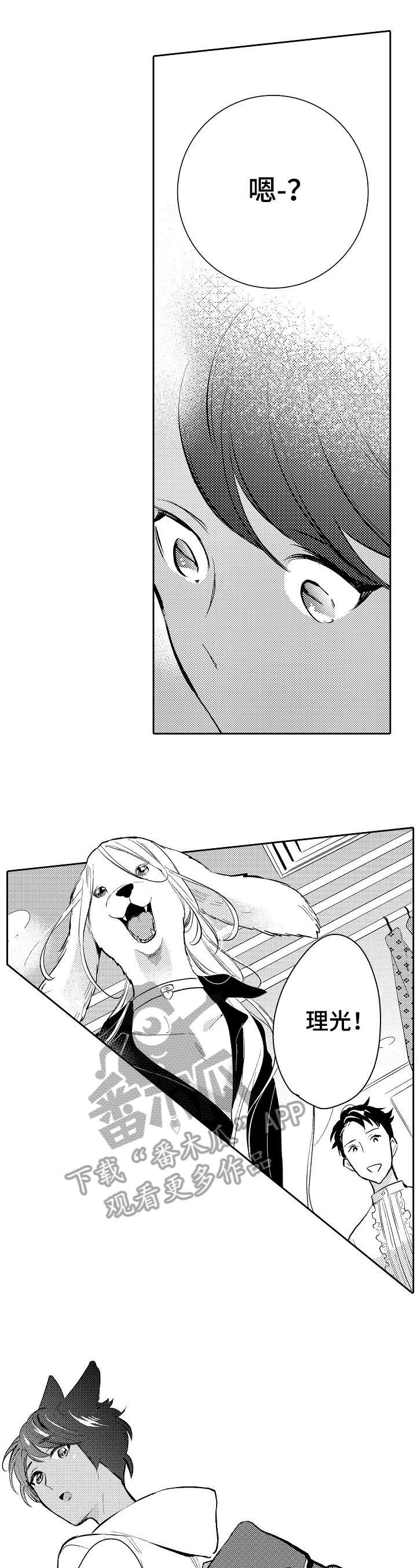 第23章：链子