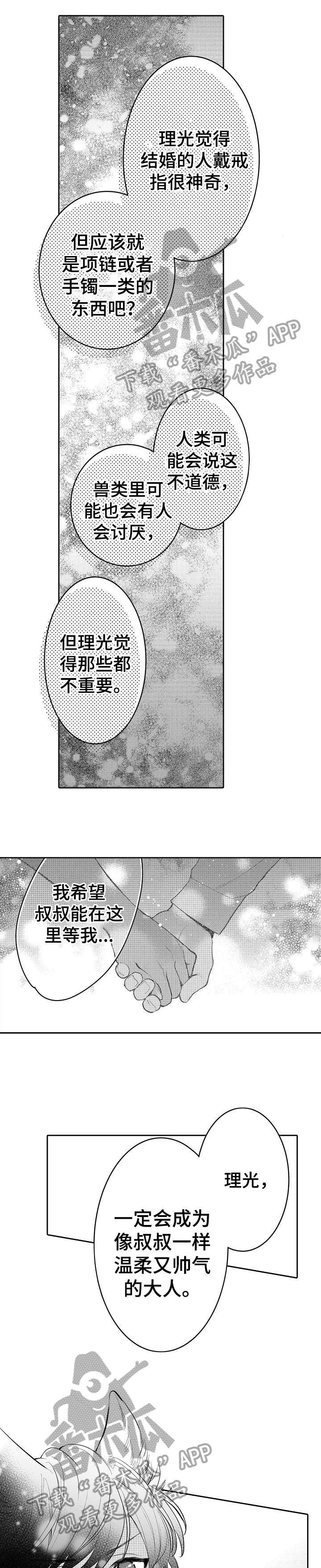 第26章：戒指