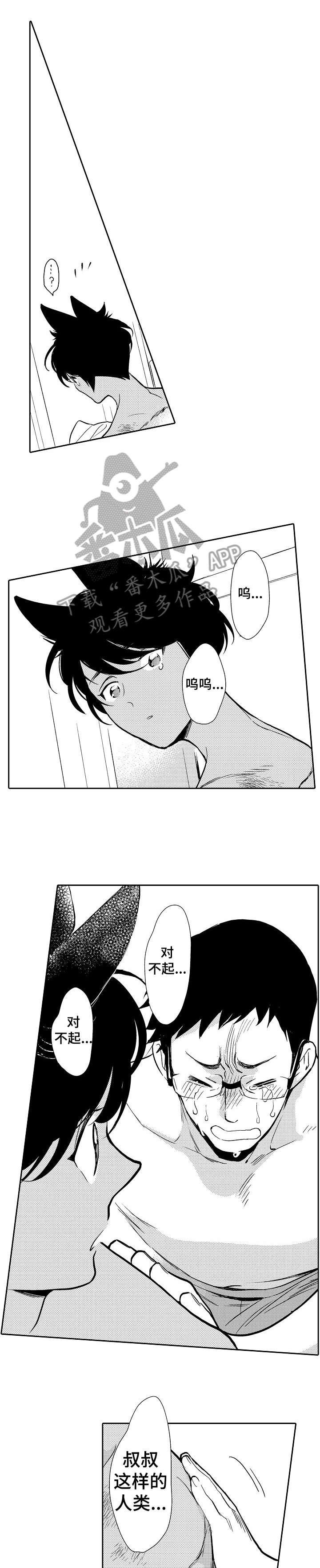 第3章：心疼