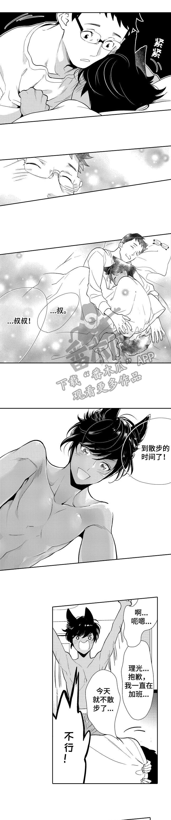 第4章：光明