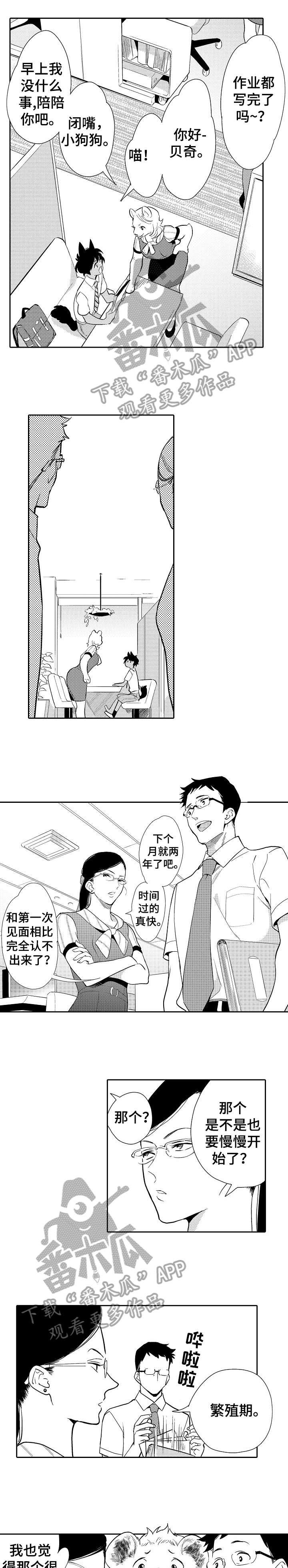 第6章：难办
