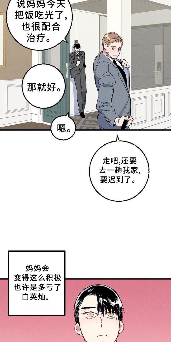 第106章：【第二季】猫猫