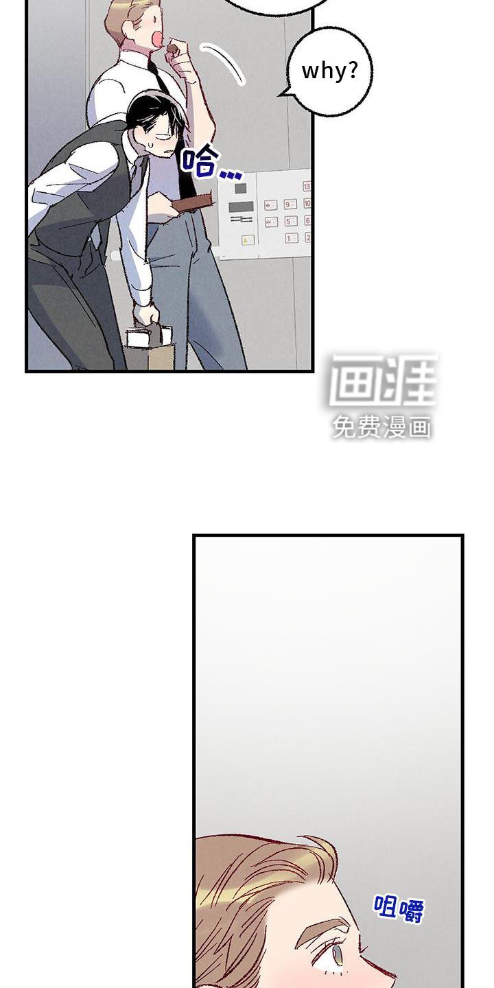 第106章：【第二季】猫猫