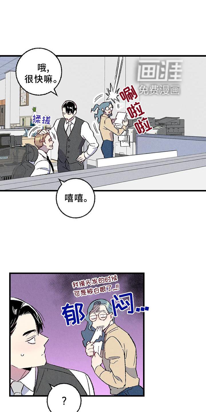 第106章：【第二季】猫猫
