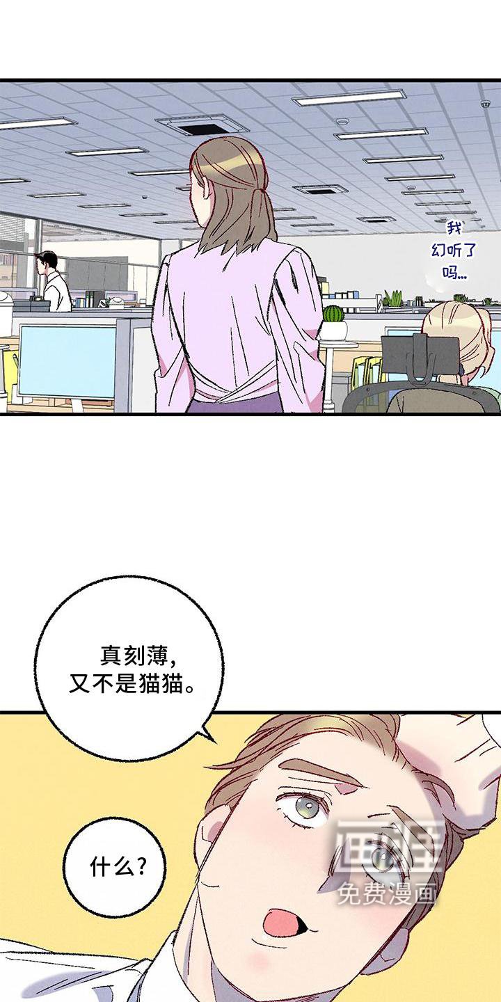 第106章：【第二季】猫猫