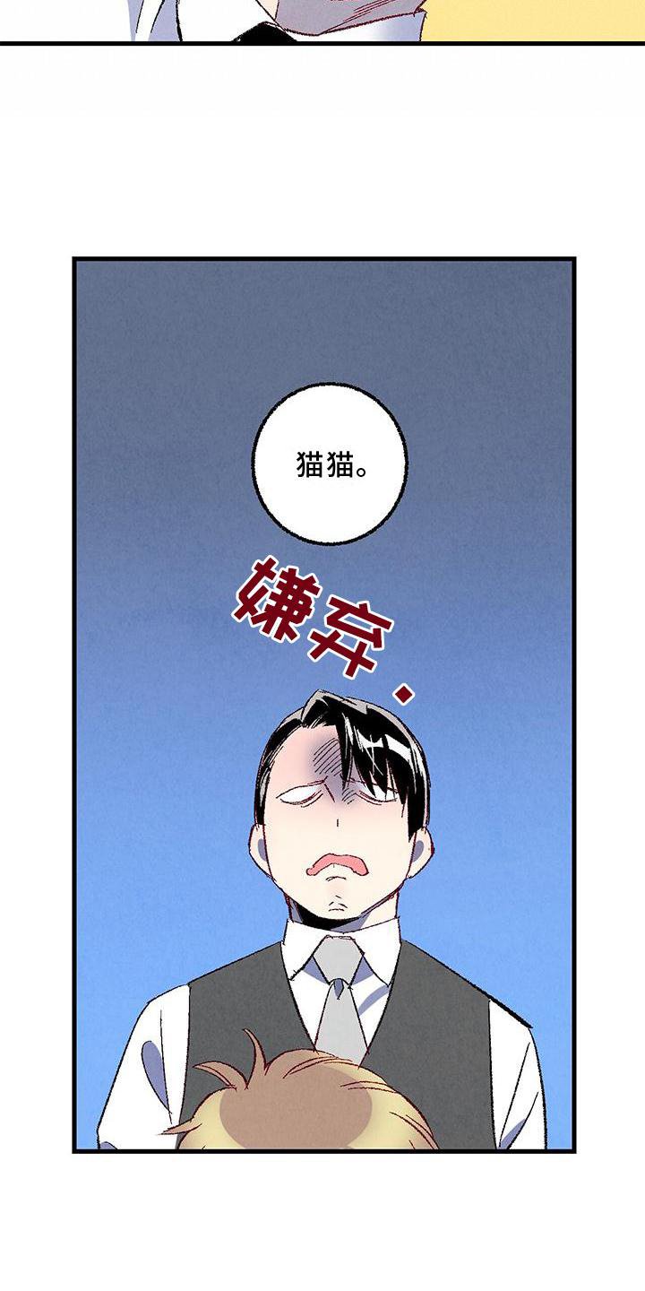 第106章：【第二季】猫猫