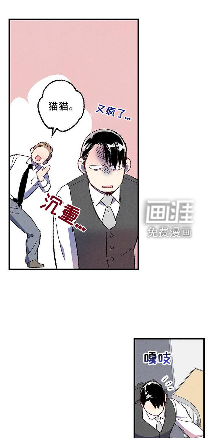 第106章：【第二季】猫猫
