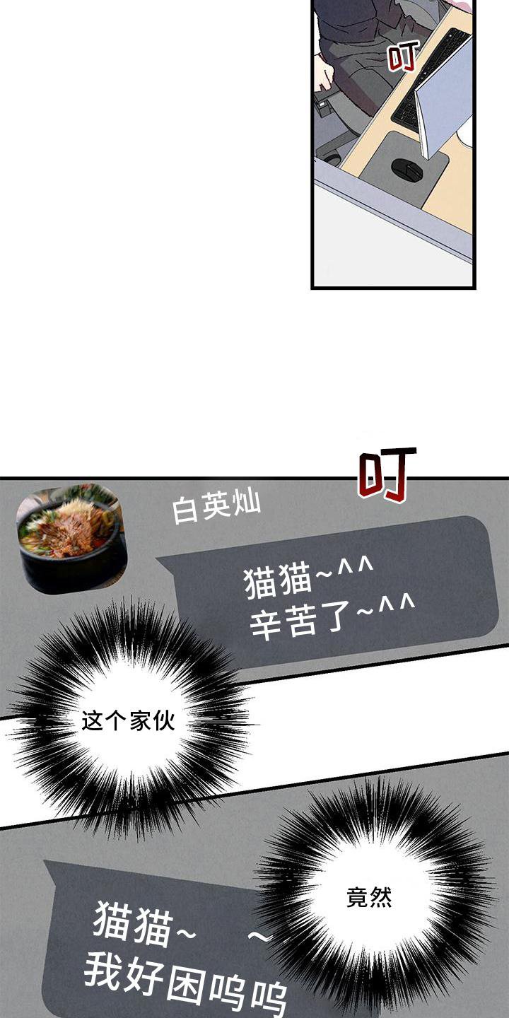 第106章：【第二季】猫猫