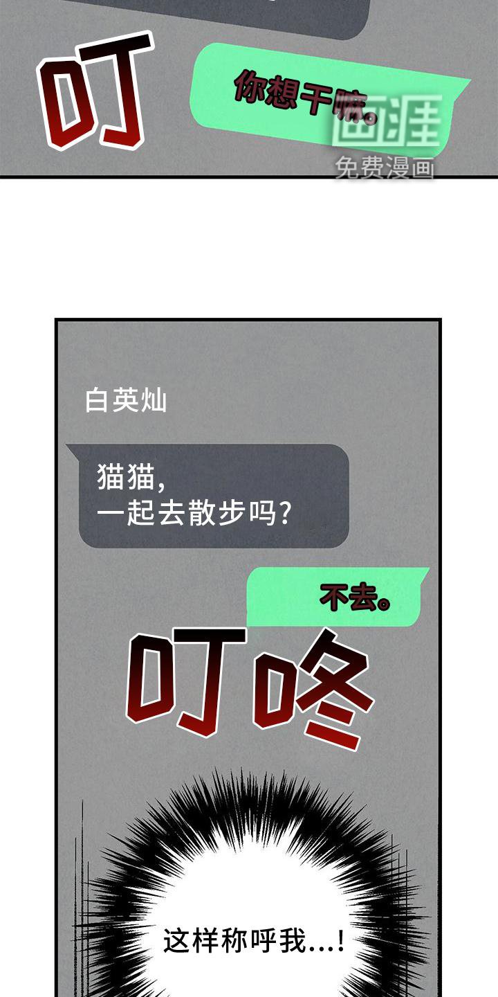 第106章：【第二季】猫猫