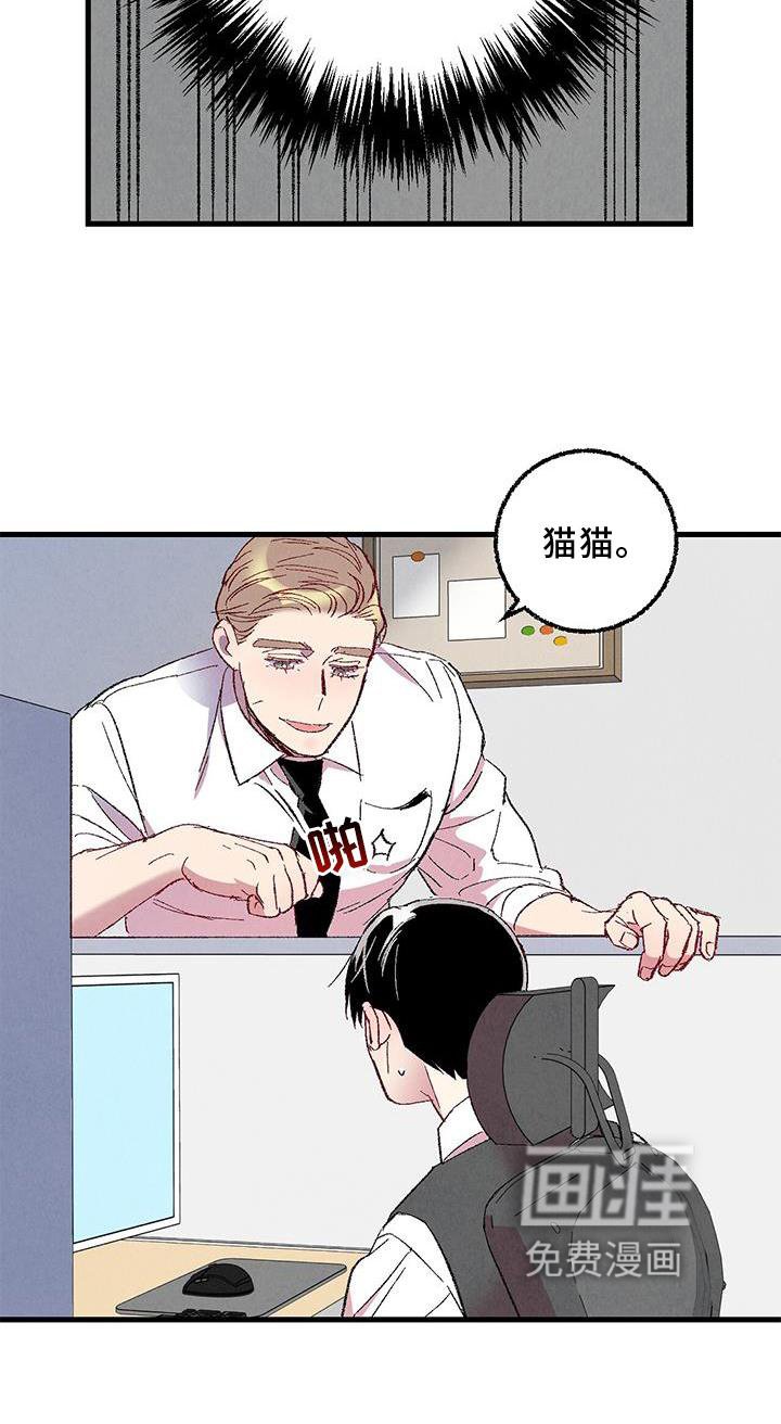 第106章：【第二季】猫猫