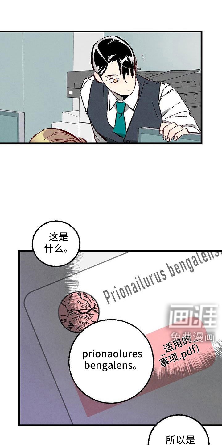 第113章：【第二季】了解的太少