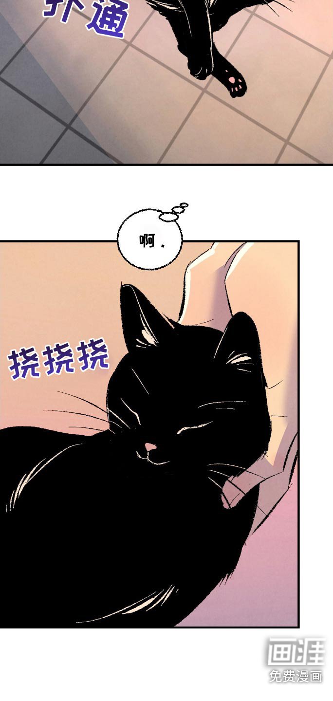 第163章：【第二季】顺利解决