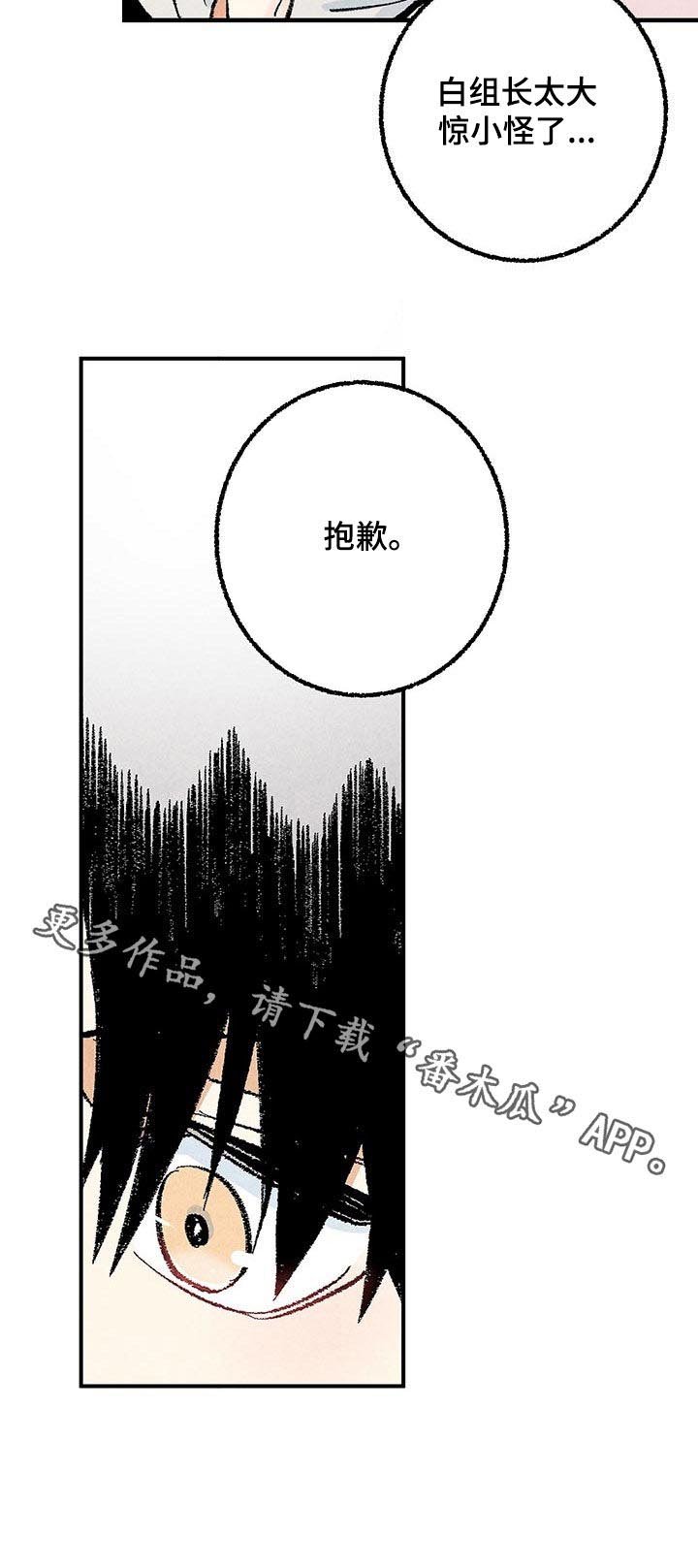 第28章：抱歉