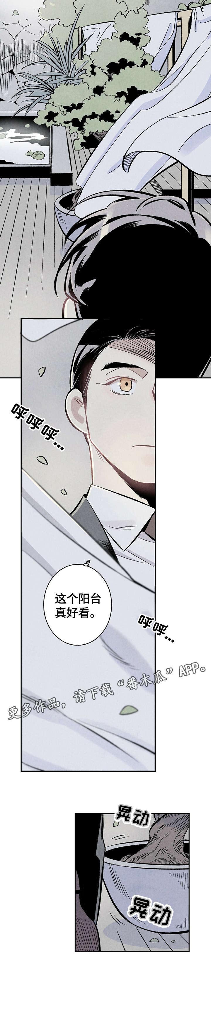 第5章：阳台