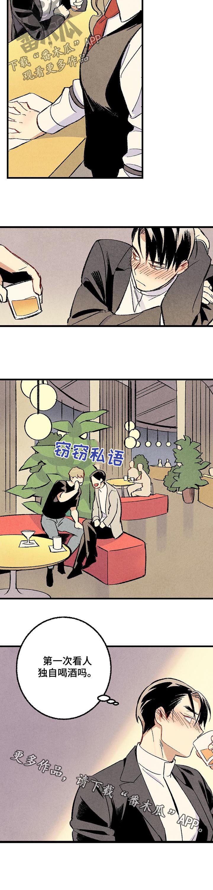 第50章：酒吧