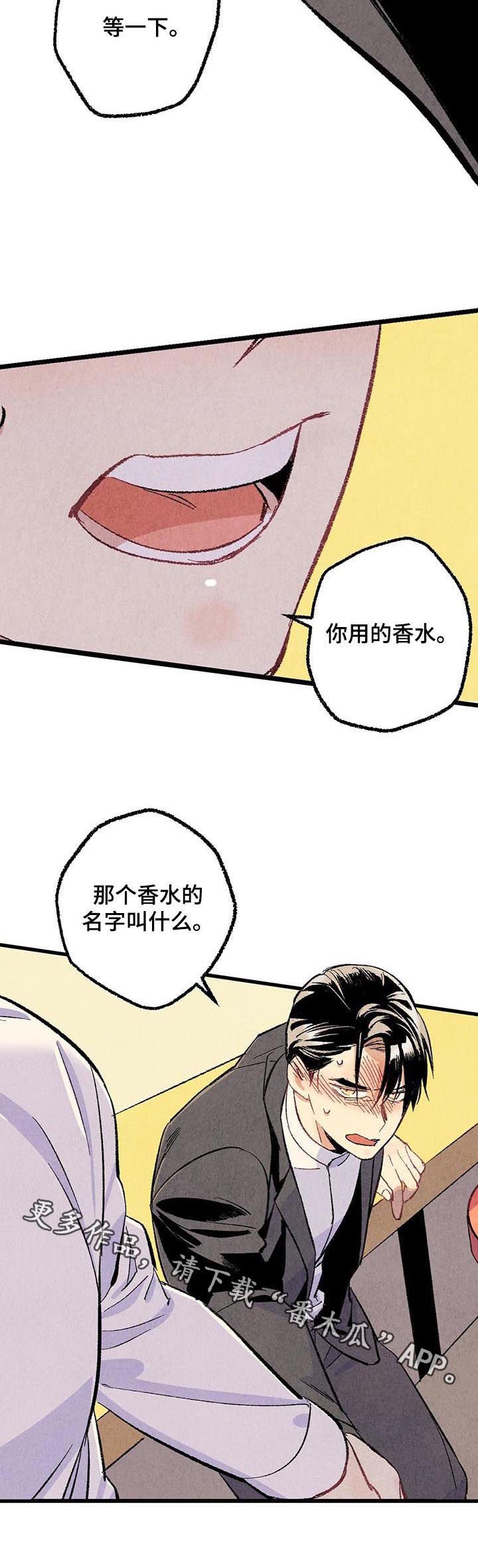 第53章：香水