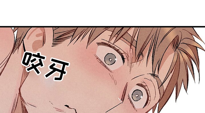 第57章：【第一季完结】等待时机