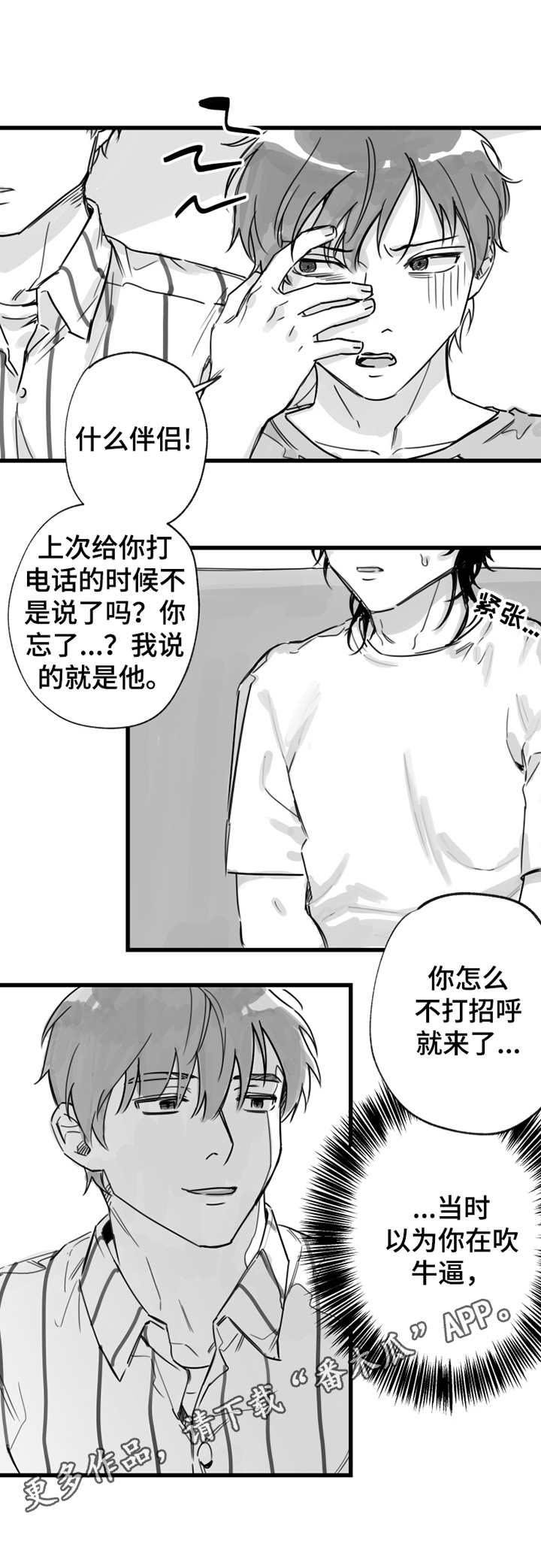 第11章：拜访