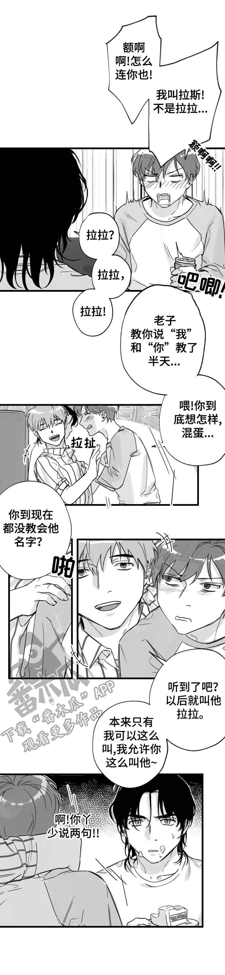 第12章：昵称