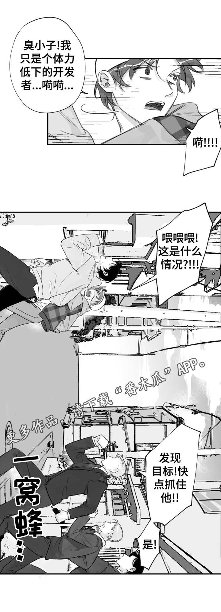 第17章：被追赶