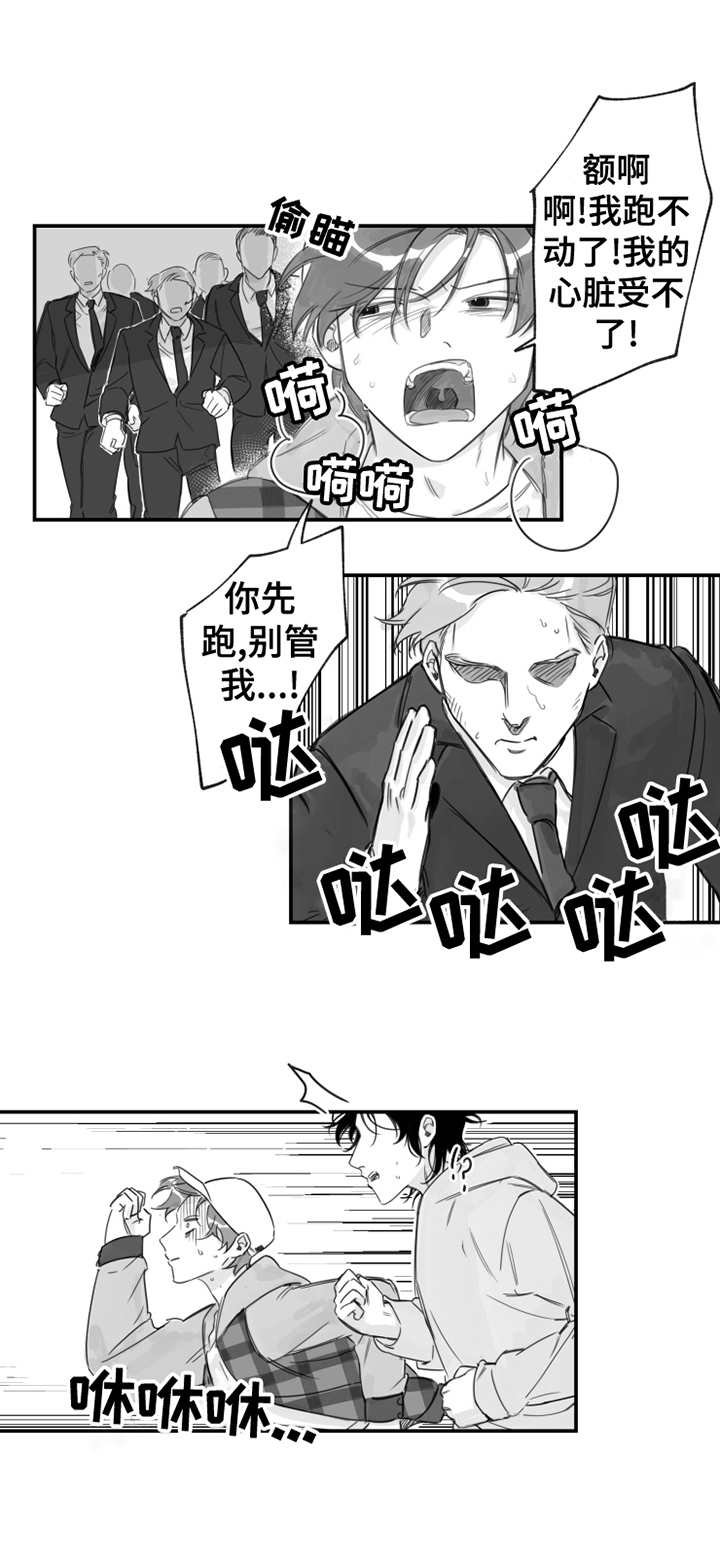 第17章：被追赶