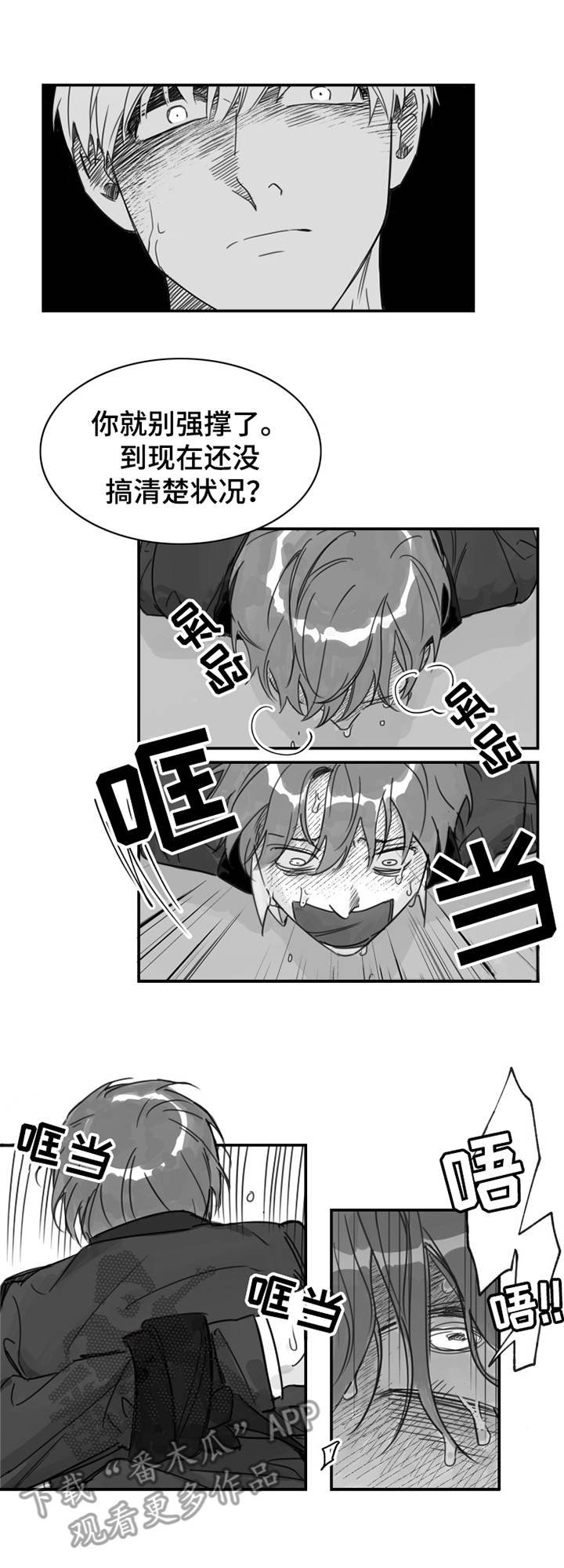 第31章：嫉妒