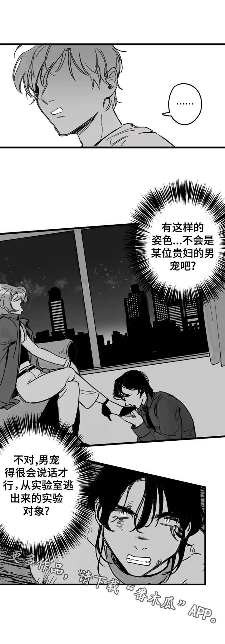 第5章：不该这样
