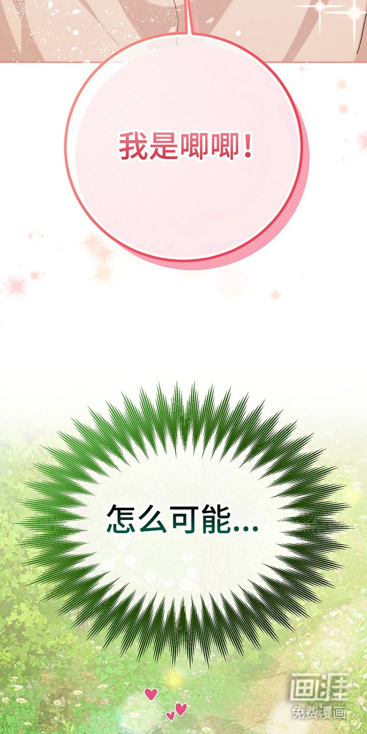 第1章：无法理解
