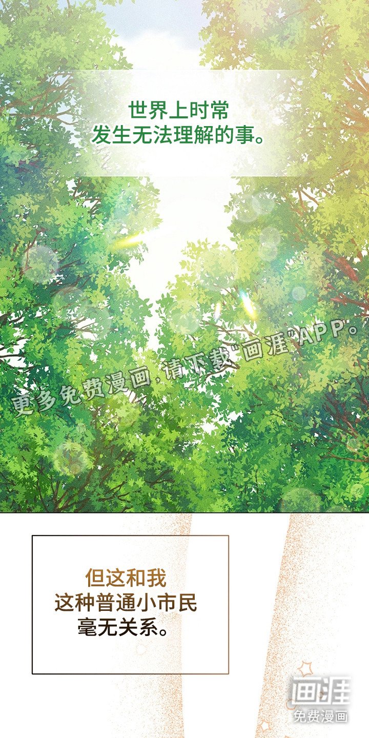 第1章：无法理解