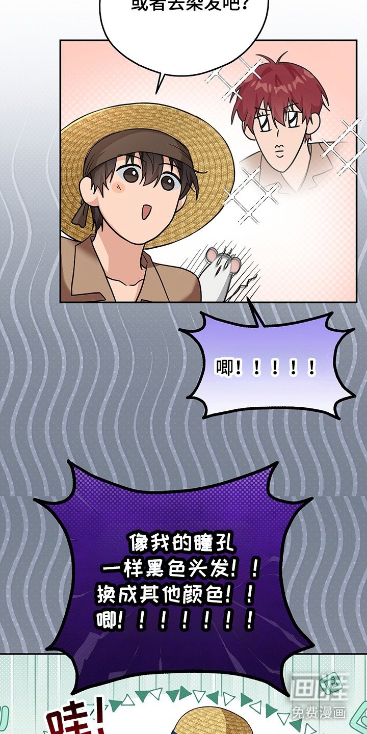 第11章：换装