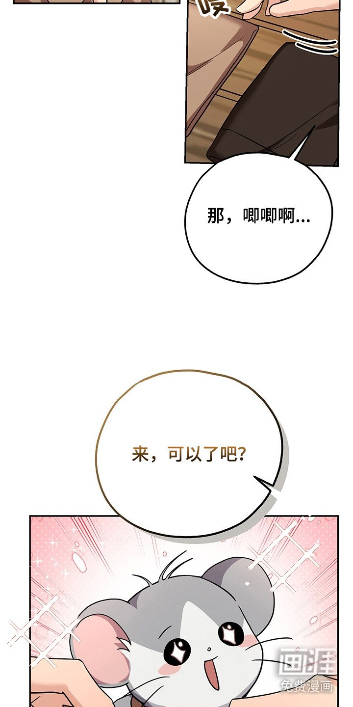 第11章：换装