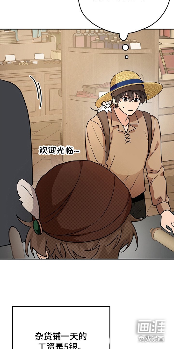 第12章：价格昂贵