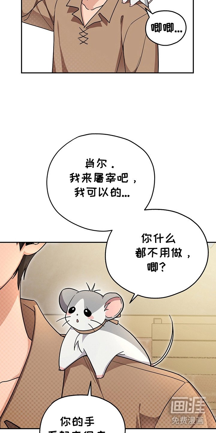 第13章：屠宰