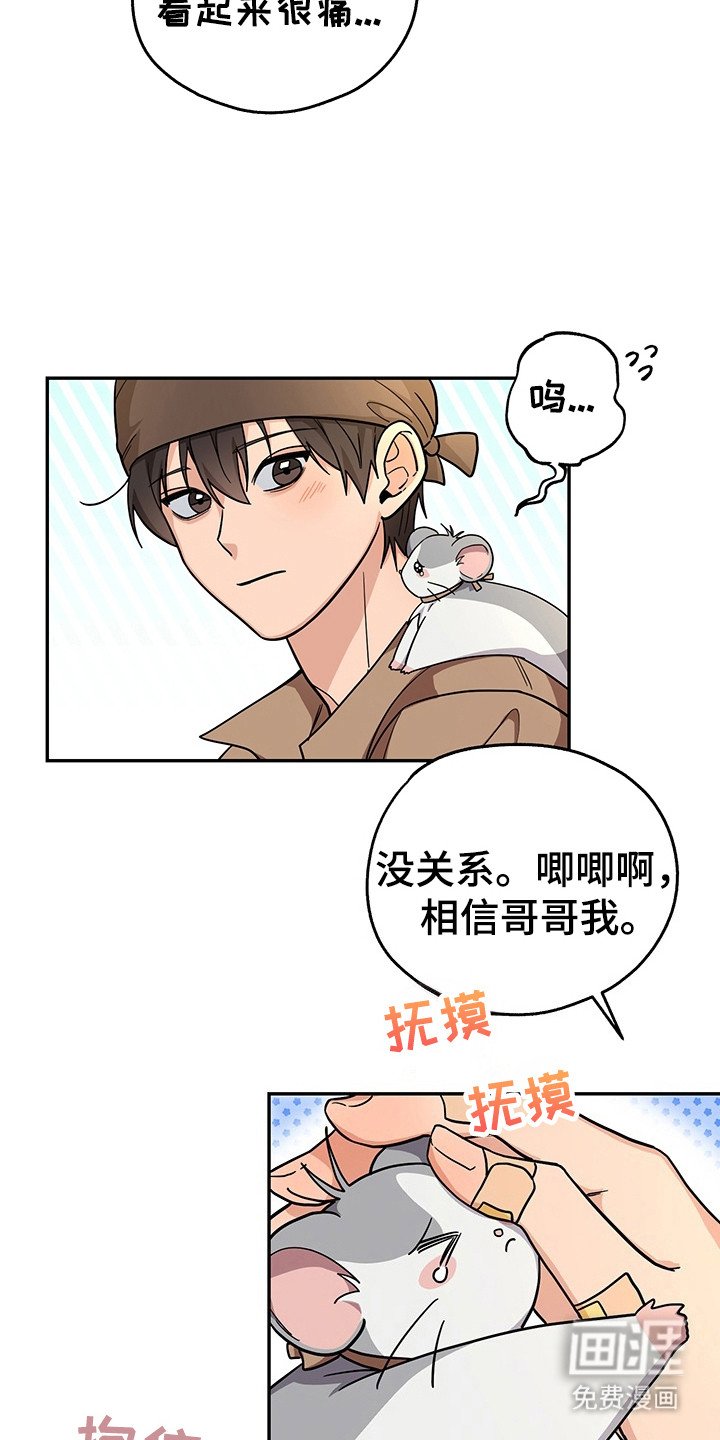 第13章：屠宰