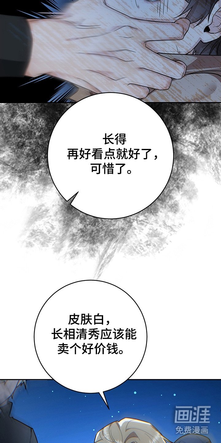 第15章：奴隶商人