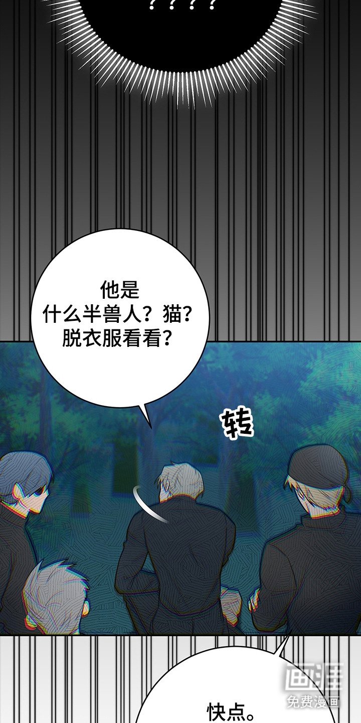 第15章：奴隶商人