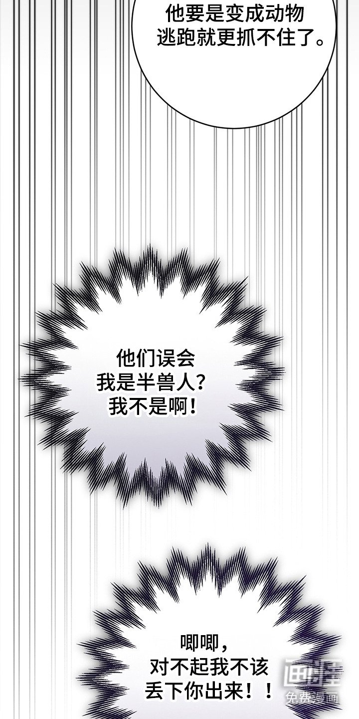 第15章：奴隶商人