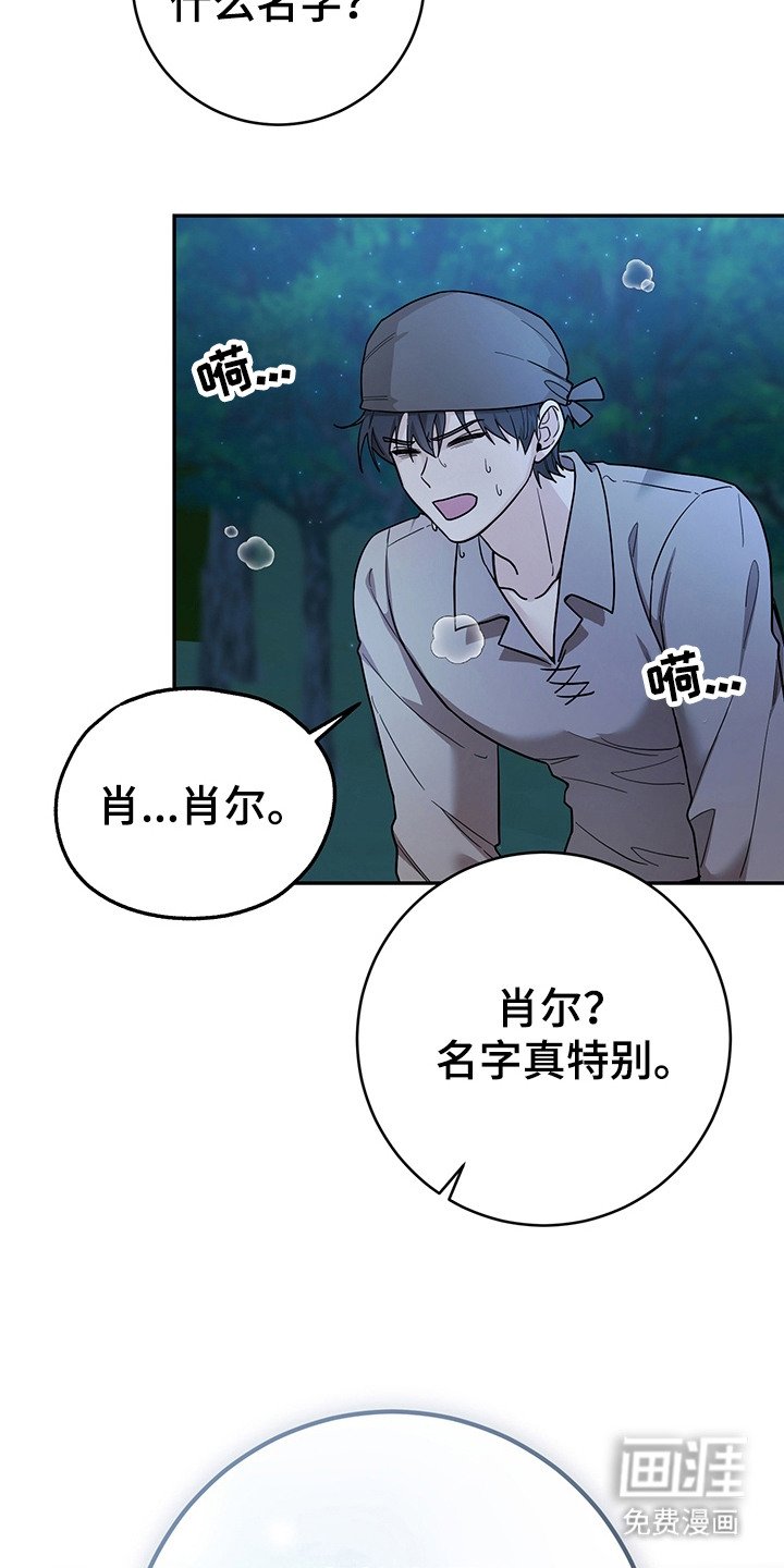 第15章：奴隶商人