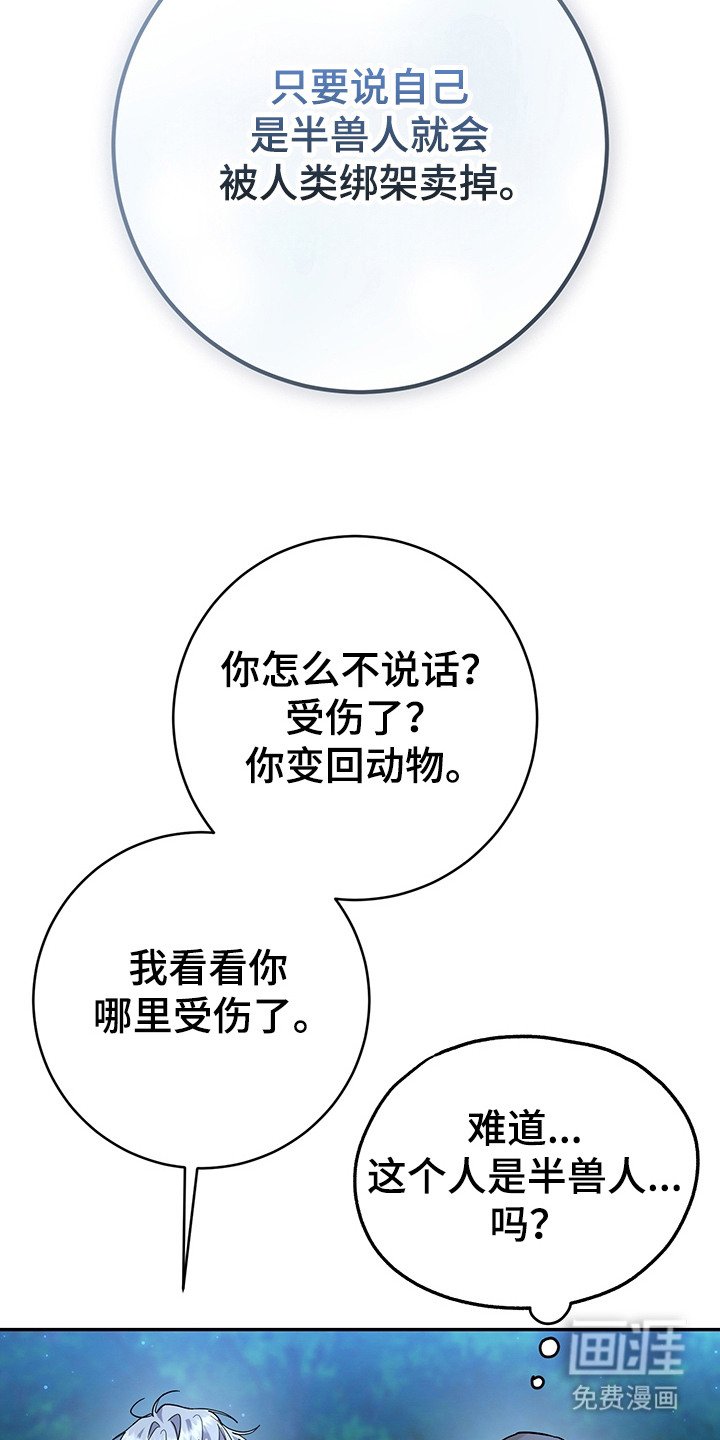第15章：奴隶商人