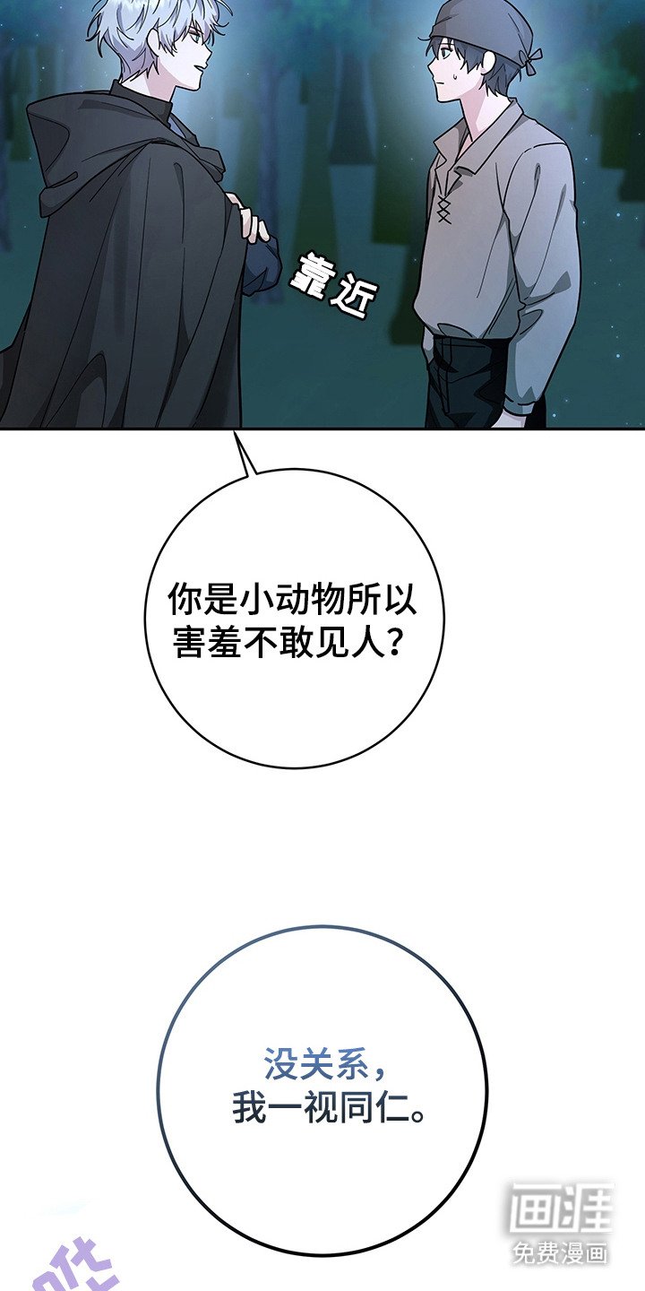 第15章：奴隶商人
